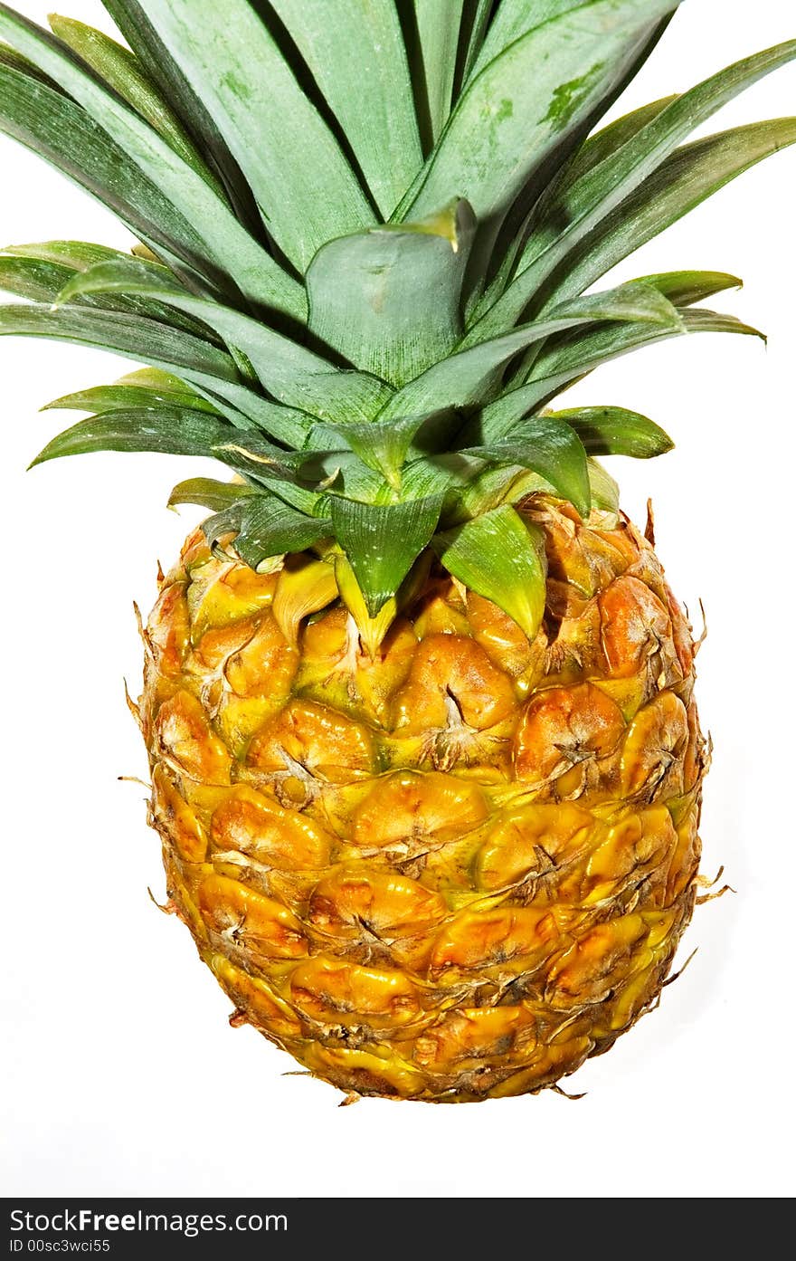 Fresh pineapple on white background