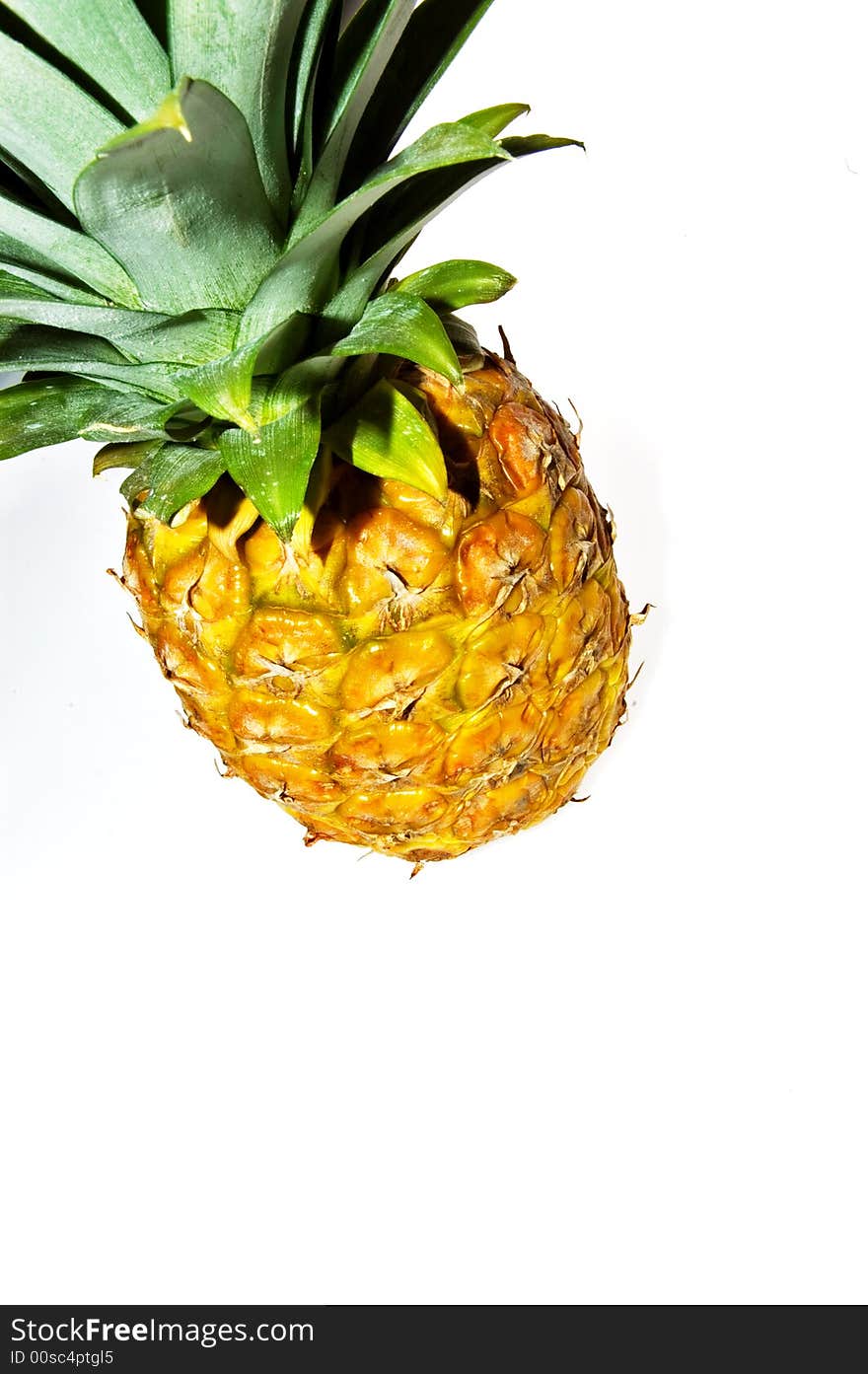 Fresh pineapple on white background