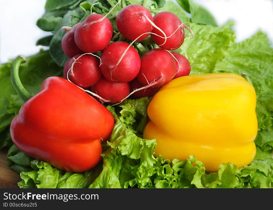 Vegetables with salad, radish and peppe