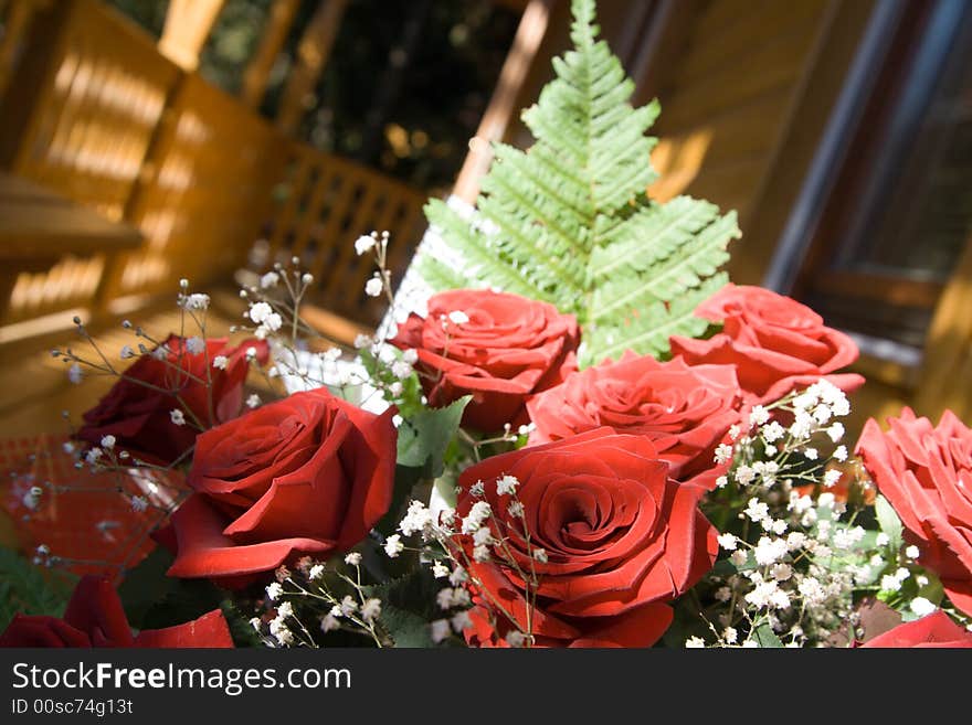 Bunch of red roses at sunlight