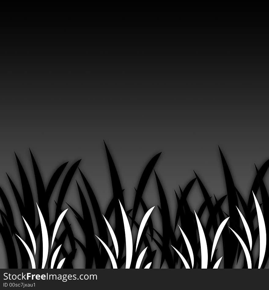 Black&White Grass [06]