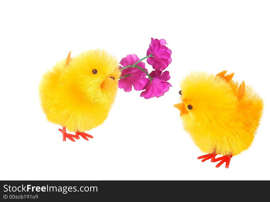 Easter Chicks In Love