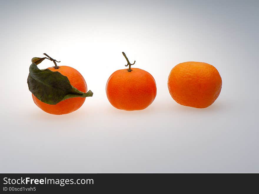 Three orange tangerines on light background