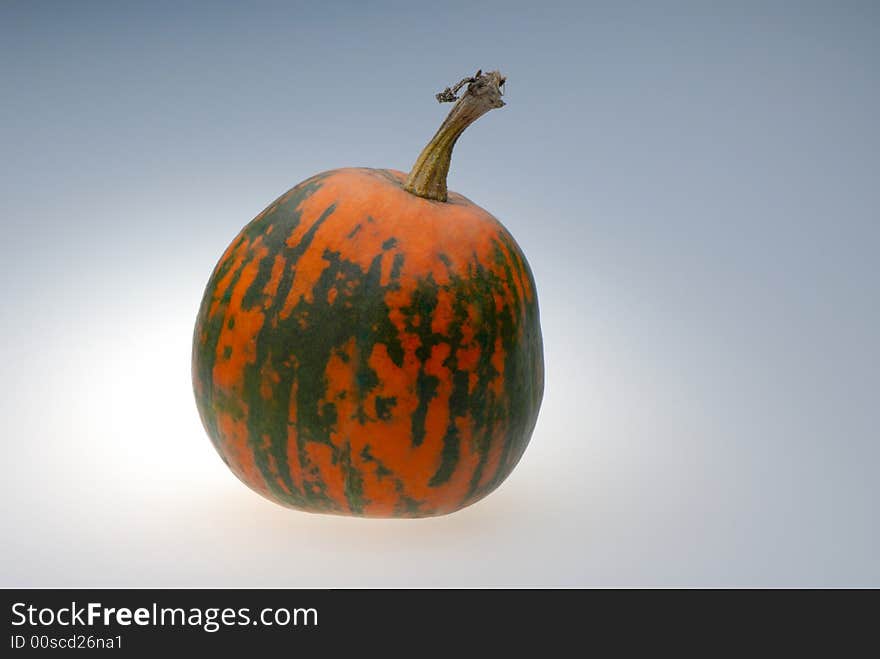 One pumpkin on light background, close up