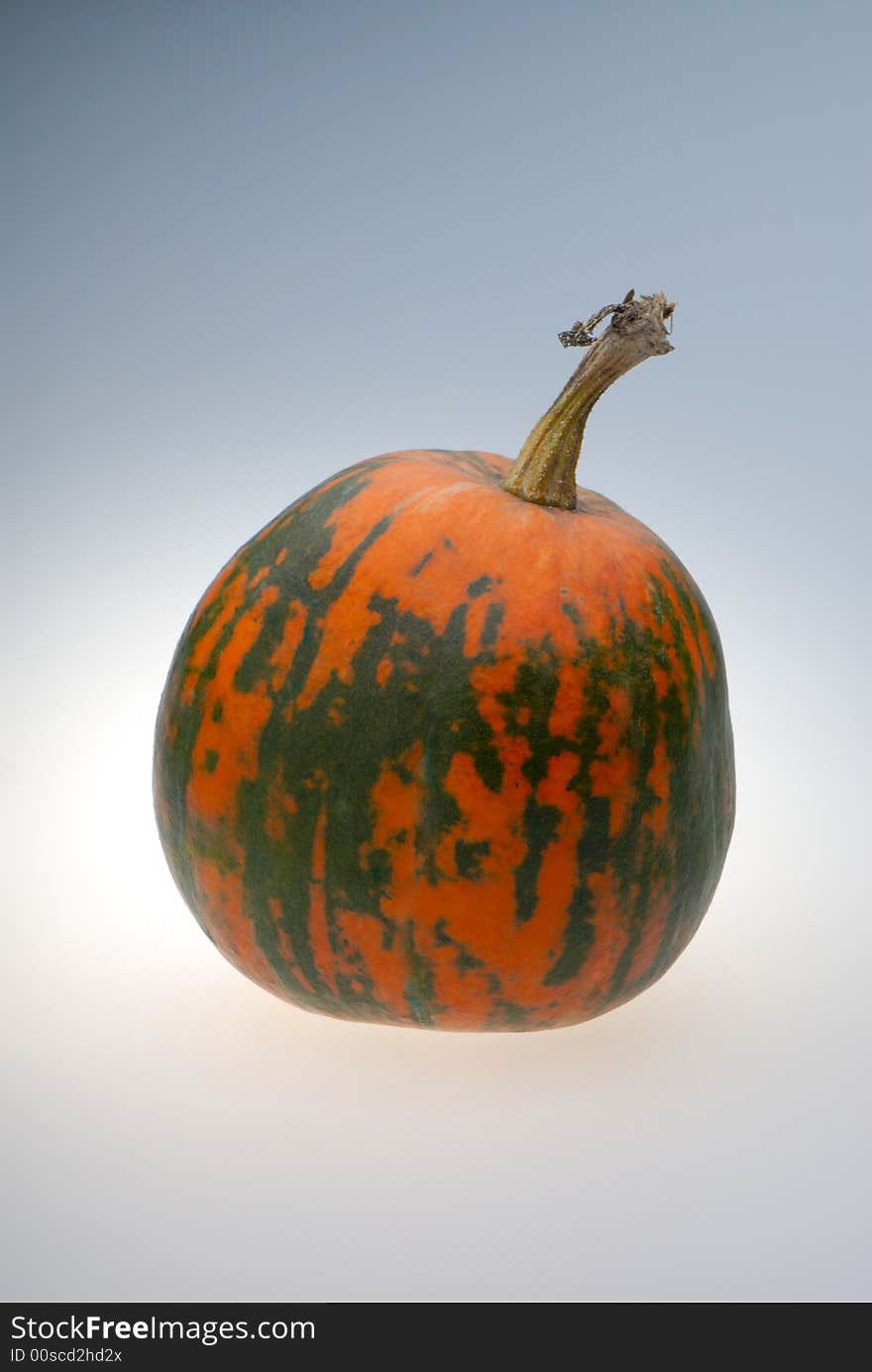 One pumpkin on  light background,  close up