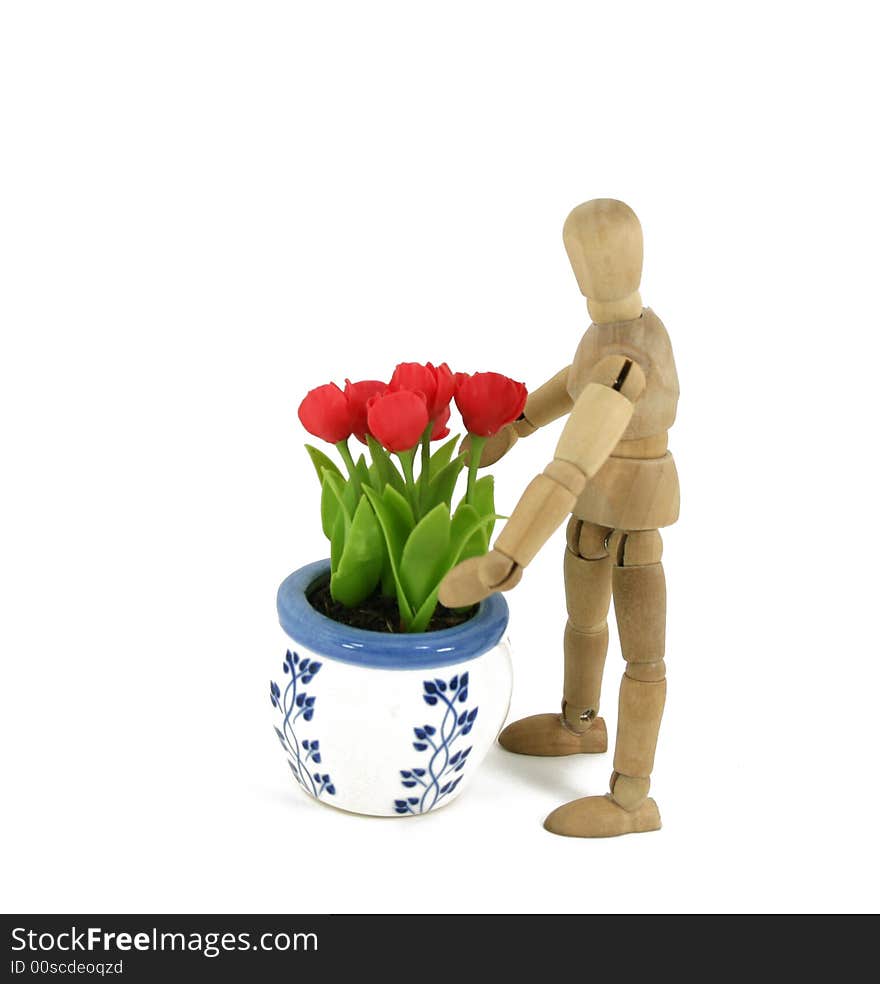 An artist's mannequin is ready to move a flowerpot full of tulips. An artist's mannequin is ready to move a flowerpot full of tulips.