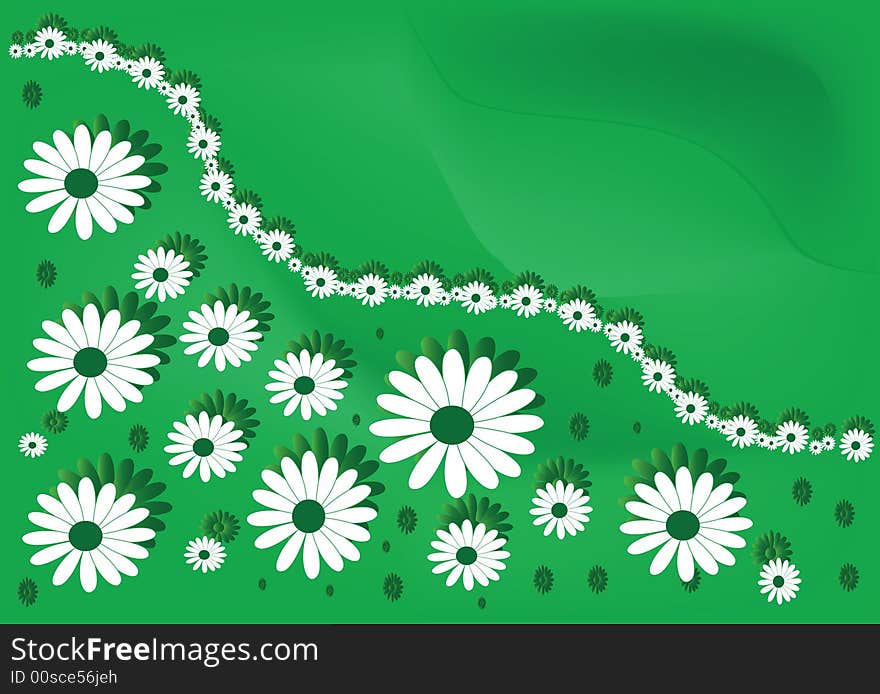 Green and white flowers background. Green and white flowers background