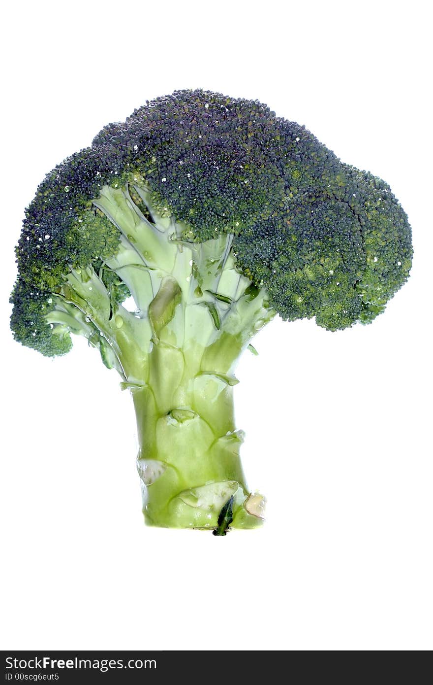 Fresh green broccoli