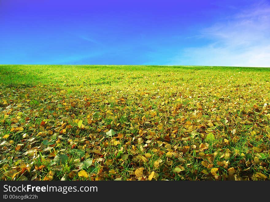 Autumn field with blue blue sky. Autumn field with blue blue sky