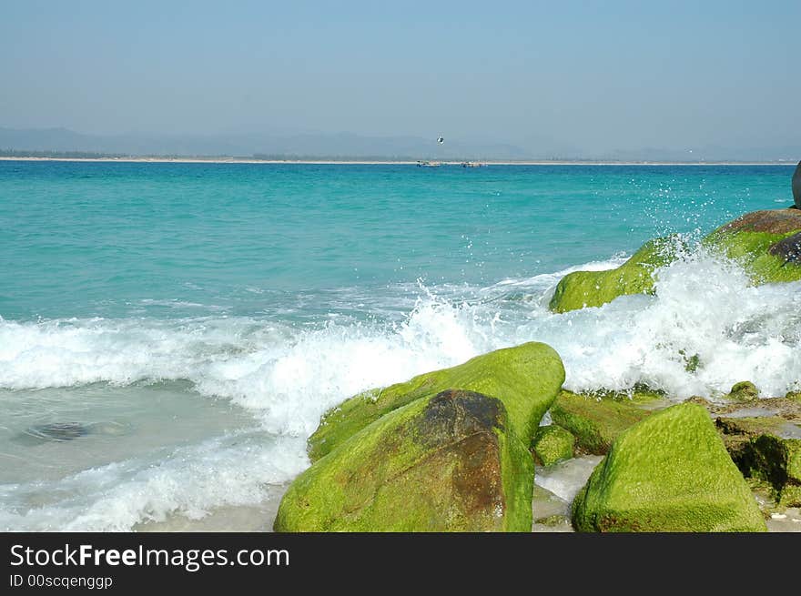 Surg&reef.Beautiful scenery in sanya,hainan,China. Surg&reef.Beautiful scenery in sanya,hainan,China