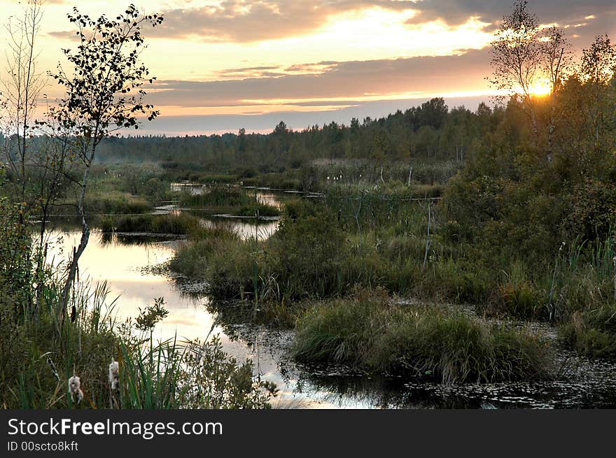 A picture of a bog and its surroundings, taken as the sun is setting in the distance. A picture of a bog and its surroundings, taken as the sun is setting in the distance.