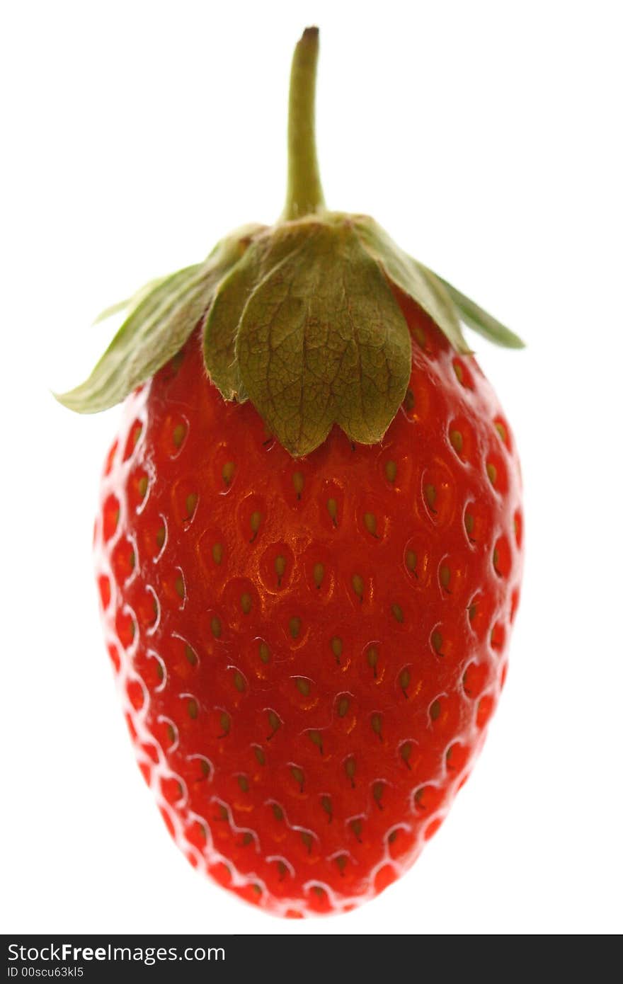 Strawberry with a white background