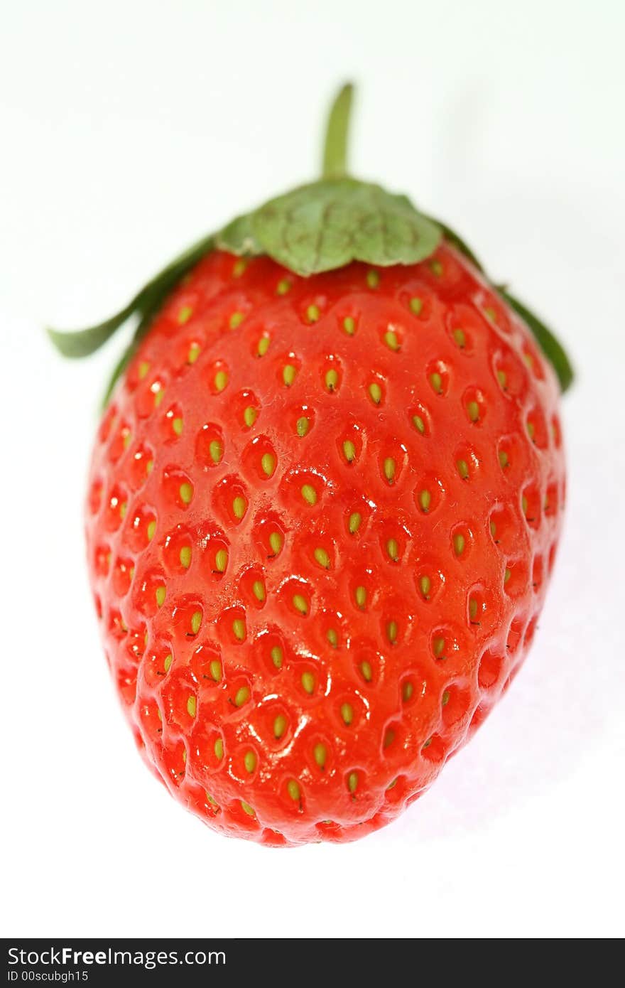 Strawberry with a white background