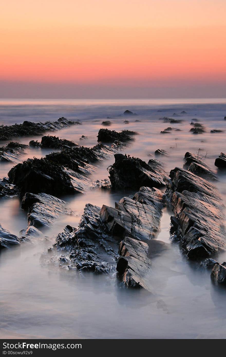 Beach landscape