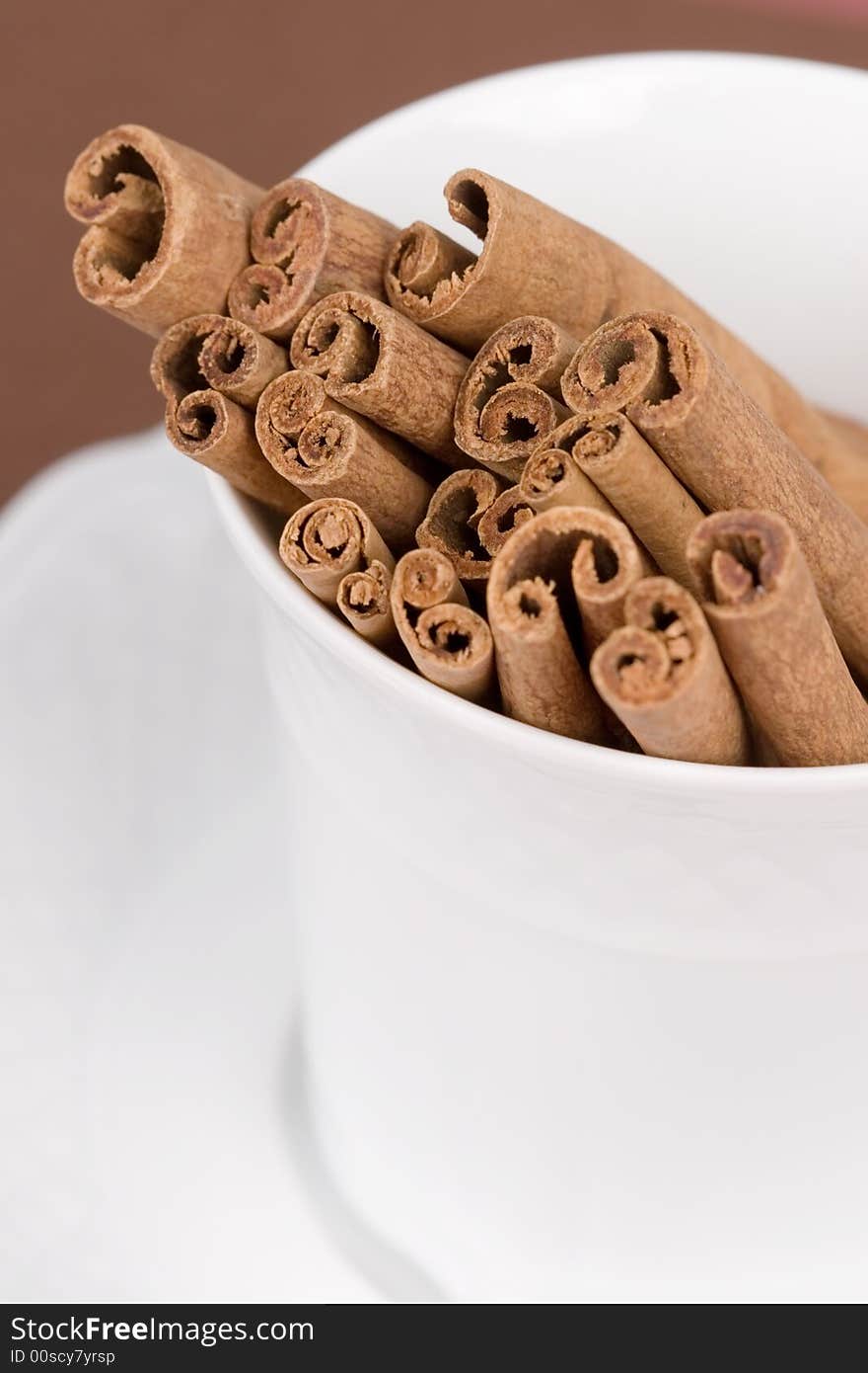 Cinnamon Sticks