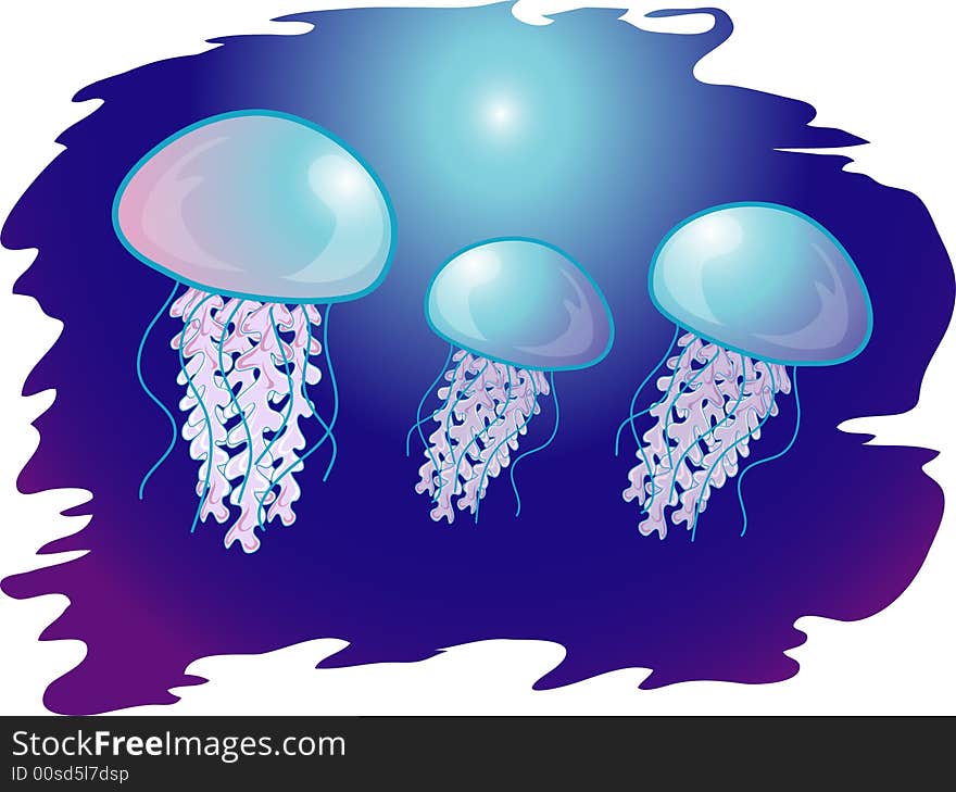 Jellyfish In The Ocean