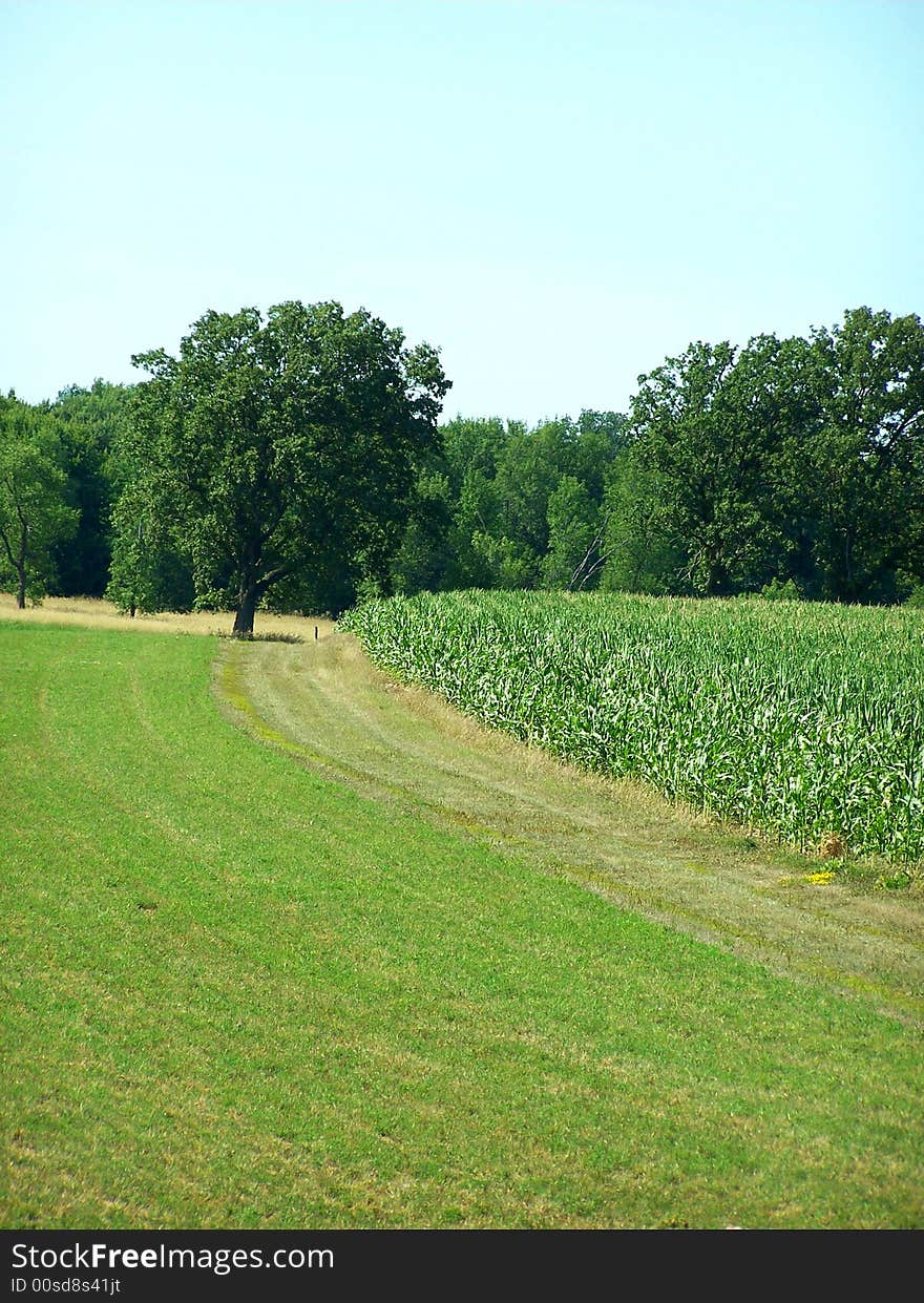 Farmland on a hot summer day.