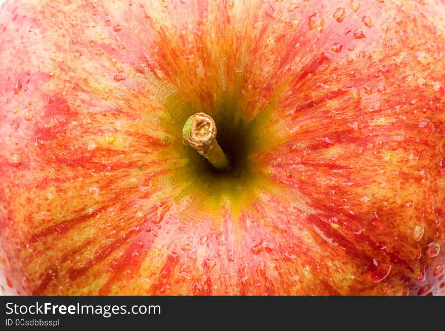 A fresh red wet apple. A fresh red wet apple