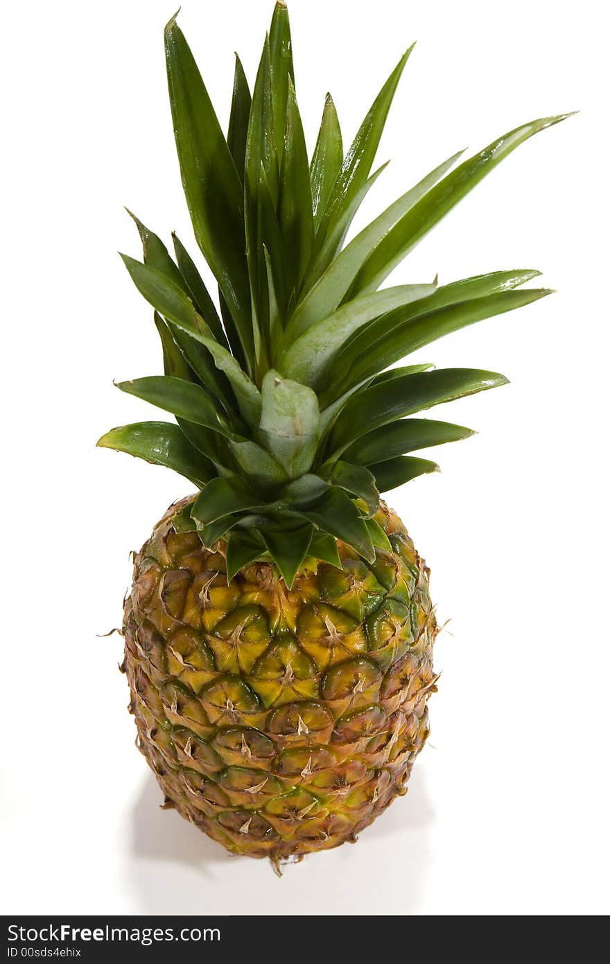 Pineapple