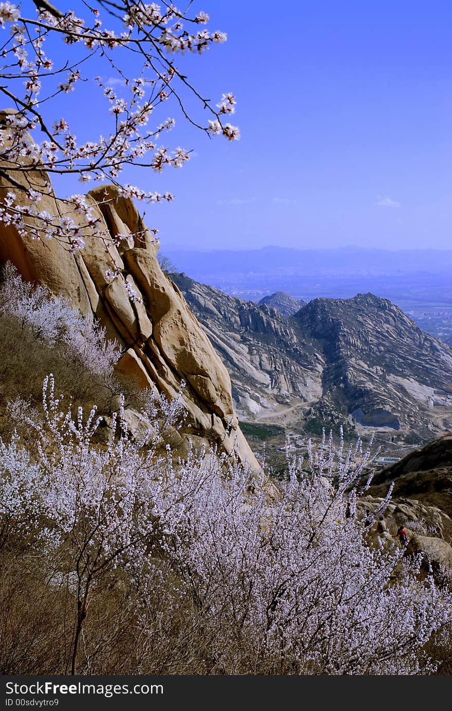 FengHuang hill of BeiJing,in the spring .