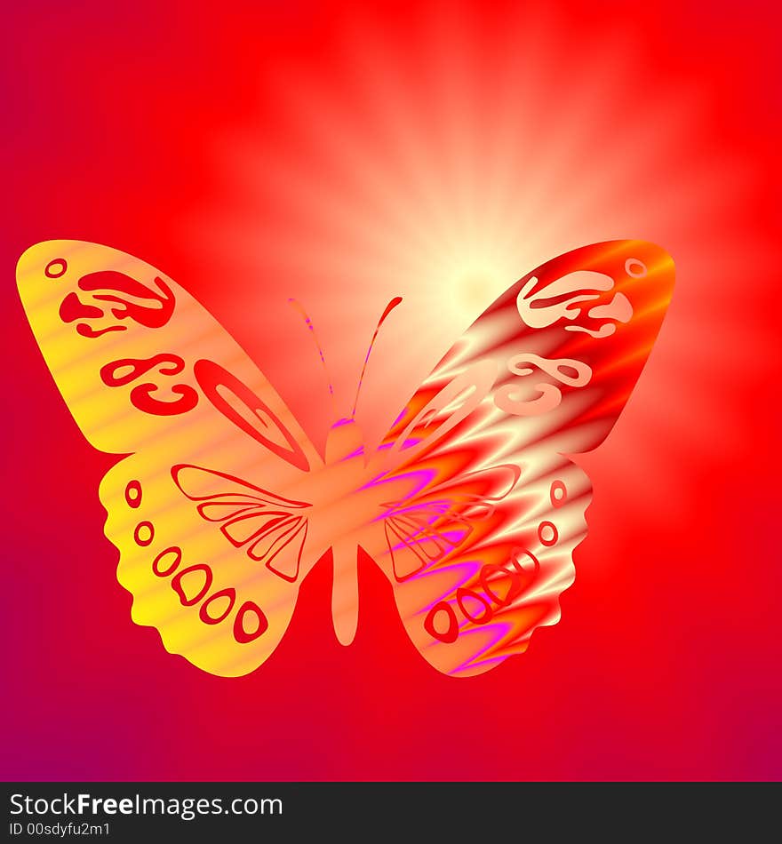 Butterfly And Sun