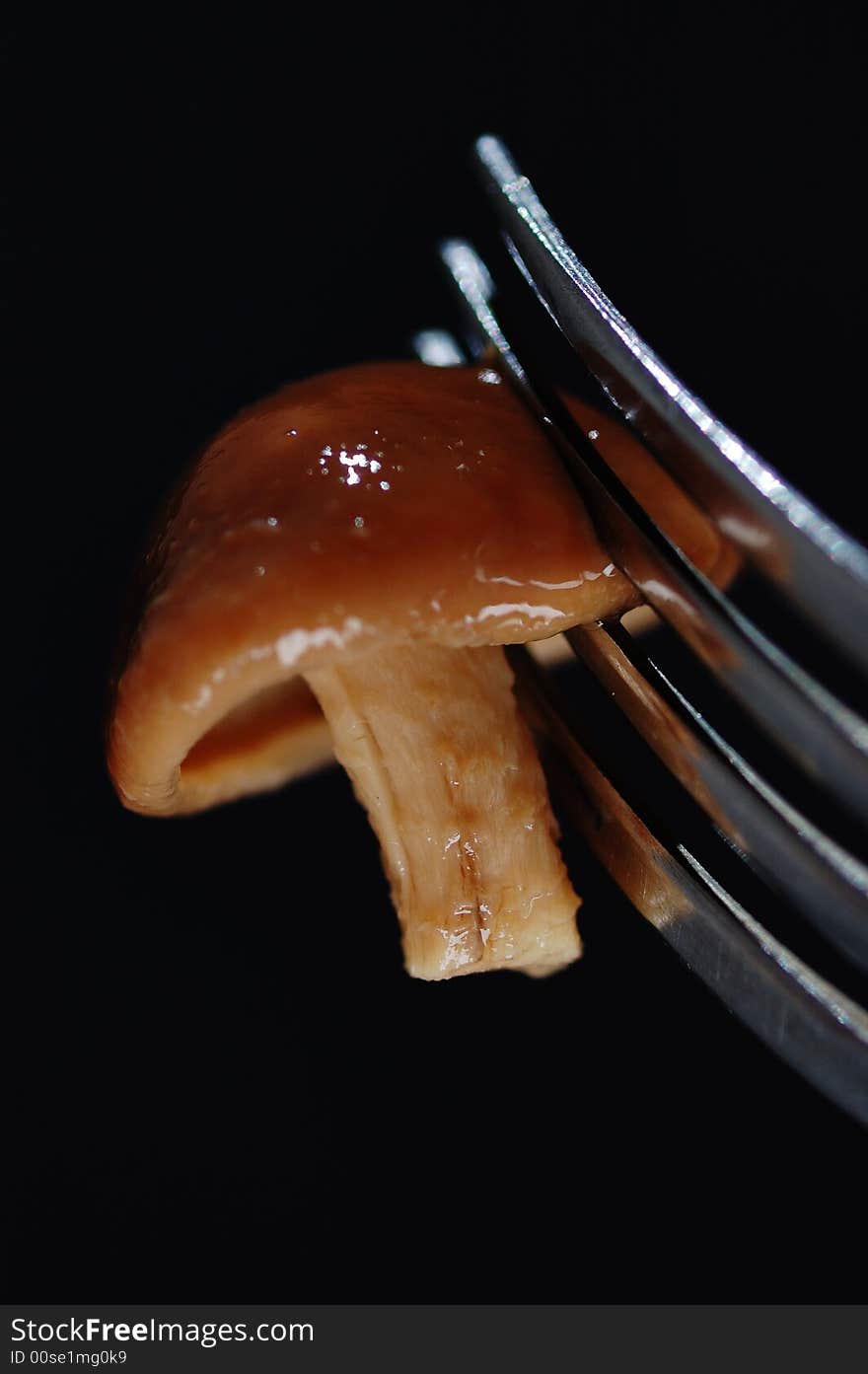 Mushroom on the fork.