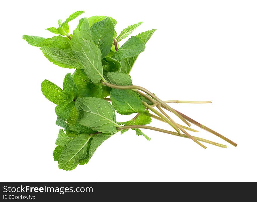 Fresh mint herb isolated on a white background