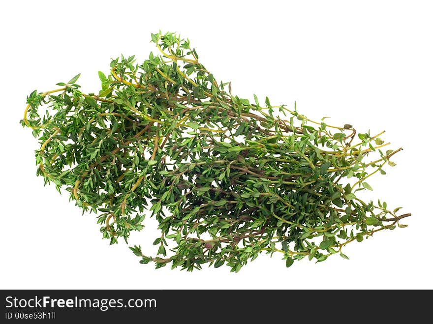 Fresh thyme herb isolated on a white background