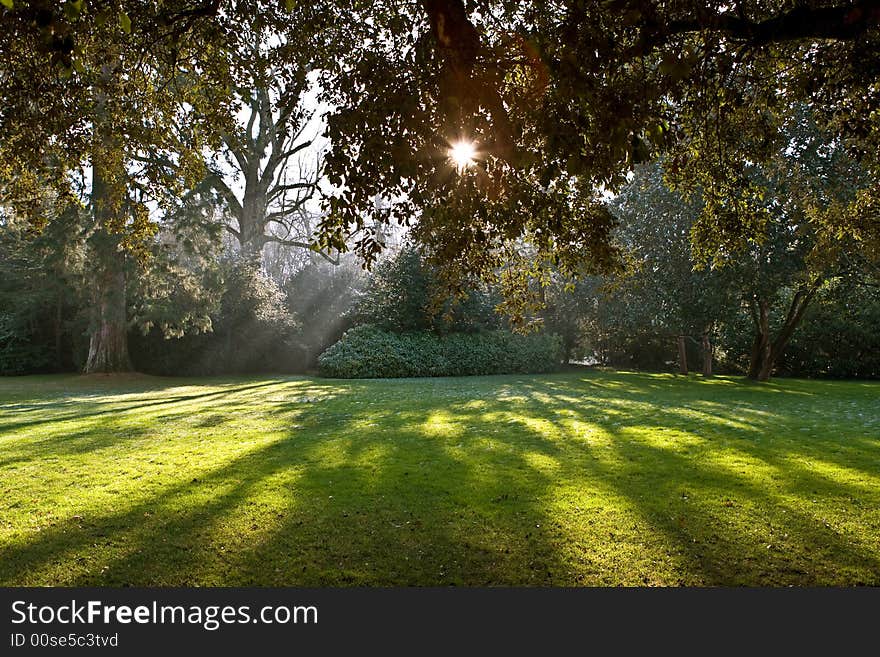 Park Of Castle Of Chenonceau