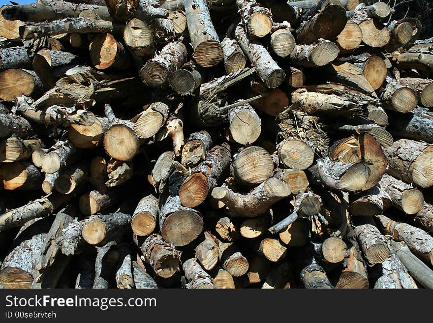 Stacked timber in a forest. Stacked timber in a forest