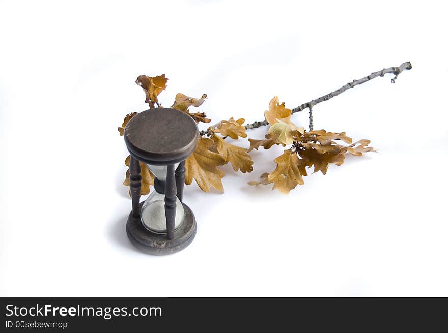 Sand-glass and fall oak on white background. Sand-glass and fall oak on white background