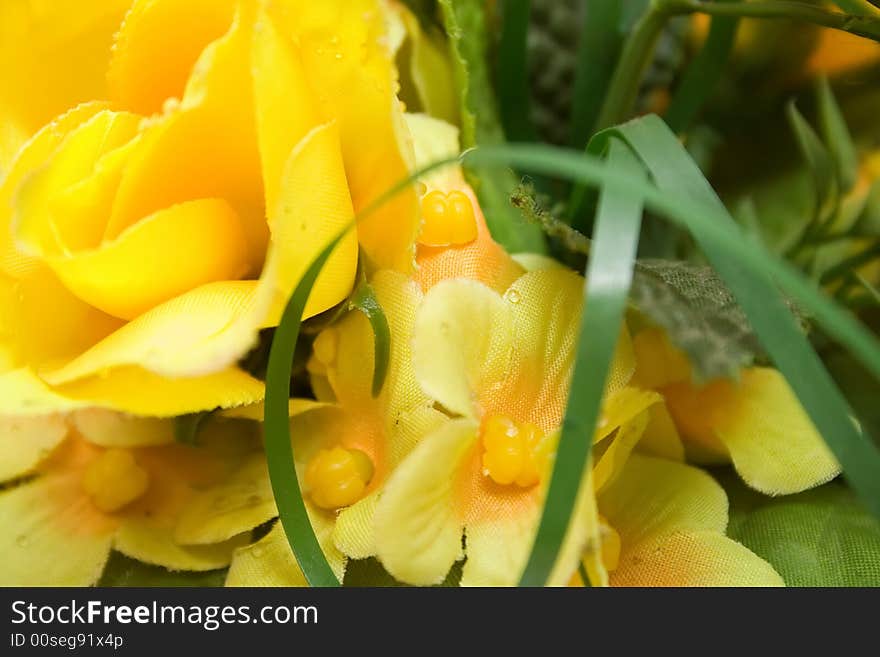 Yellow Flower Background