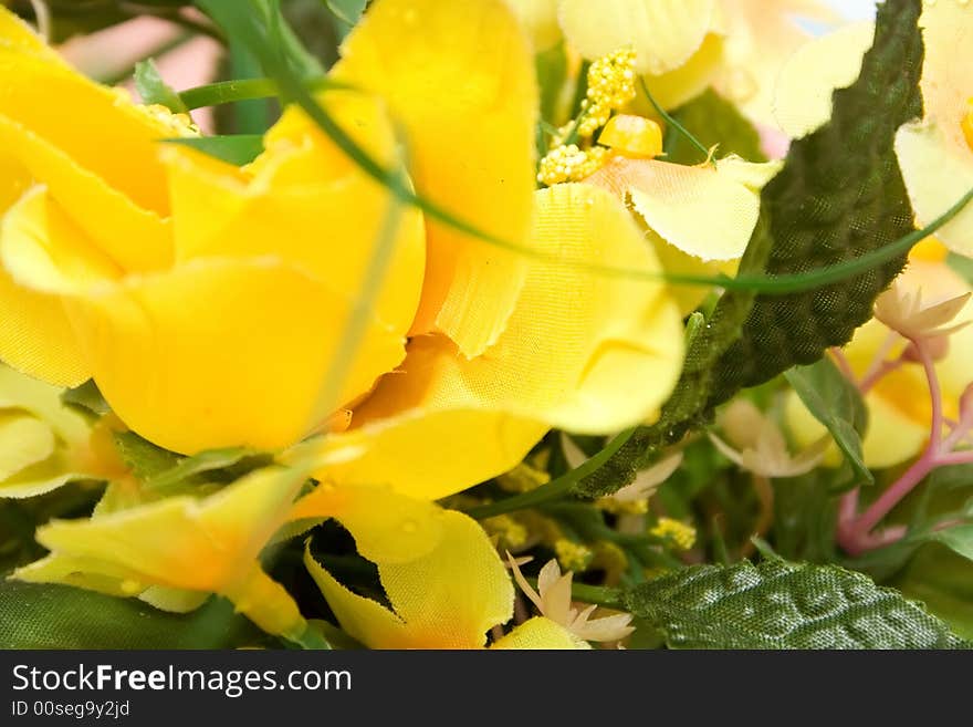 Yellow Flower Background