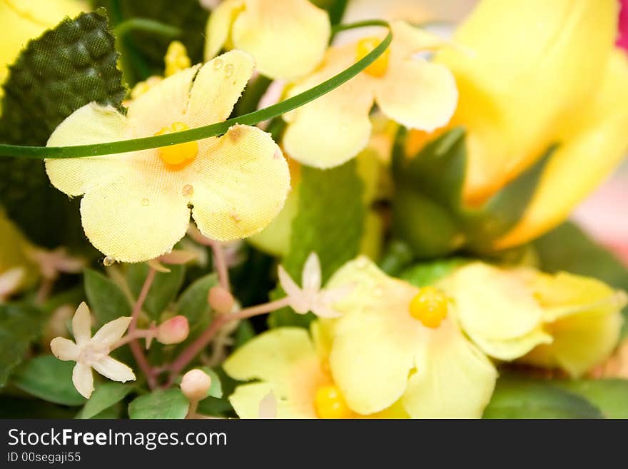 Yellow flower beautiful nature background. Yellow flower beautiful nature background