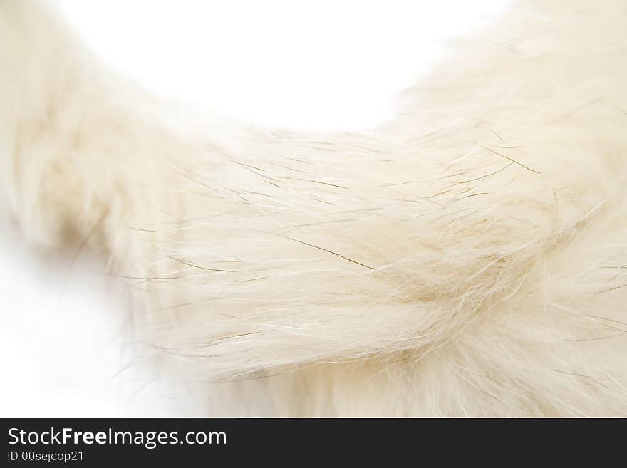 Animal fluff on the white background