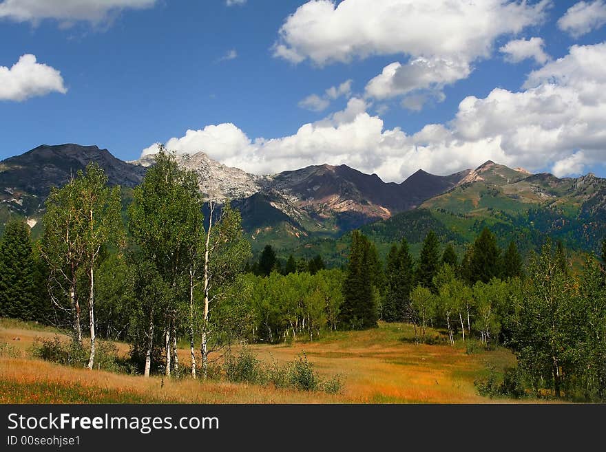 High Mountain Flat in the summer showing with mountains in the background. High Mountain Flat in the summer showing with mountains in the background