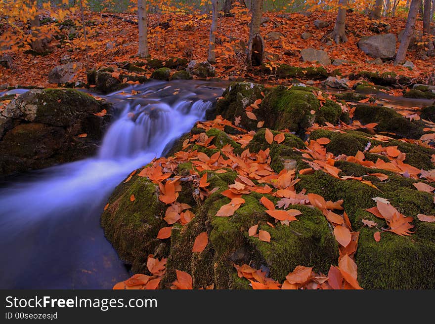 Autumn In Harriman State Park