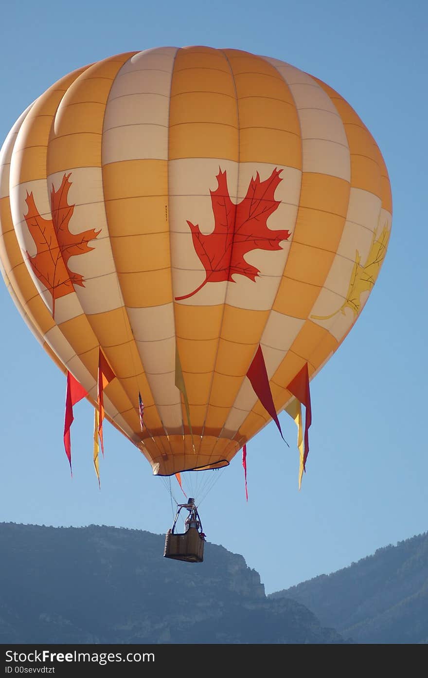 Hot Air Balloon