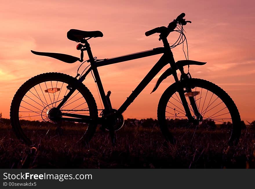 Bicycle silhouette and summer sunset