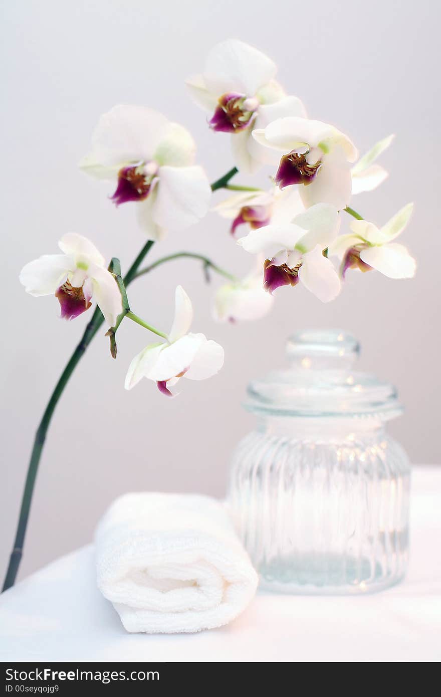 The still life with orchids, white towels and glass bottle. The still life with orchids, white towels and glass bottle