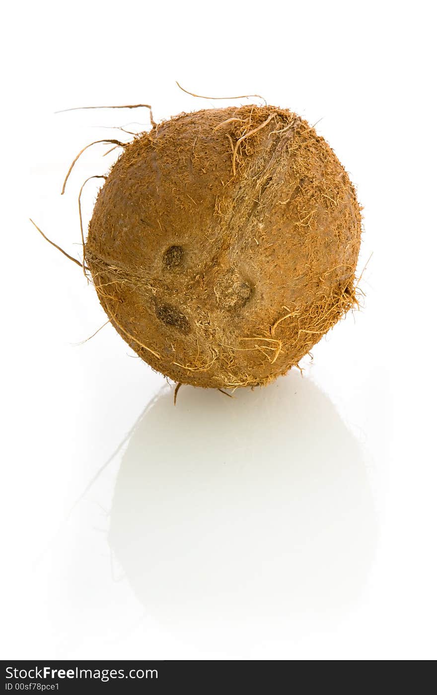 Detailed coconut isolated on white background