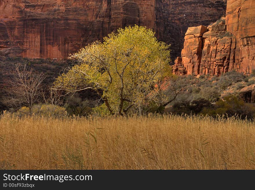 Zion Canyon