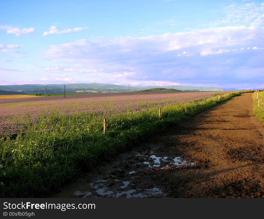 Czech landscape in summer with fieldpath