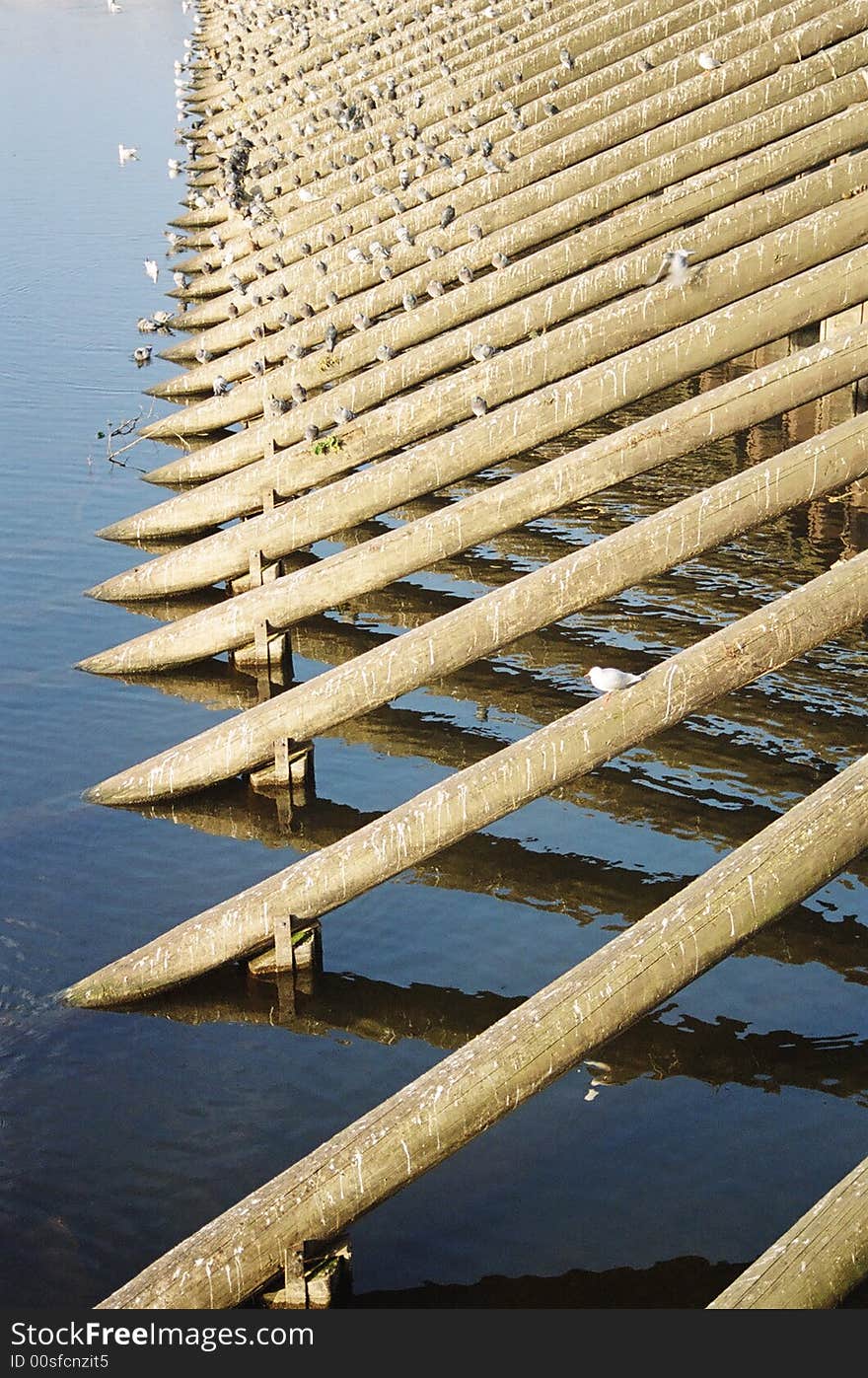 A dike on the river of Vltava, Czech Republic