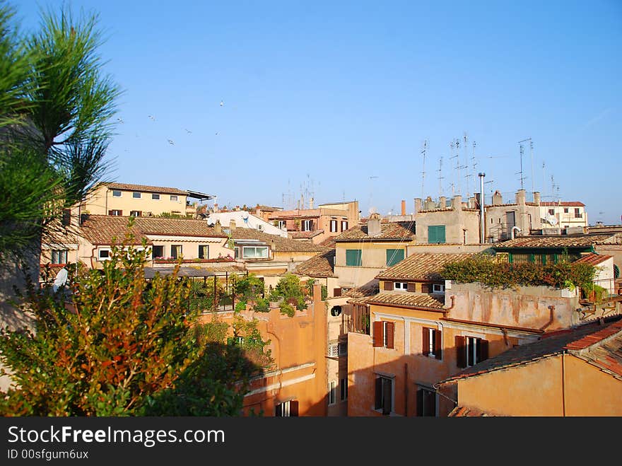 The tiled rooftops of Rome, with gardens and antennas!