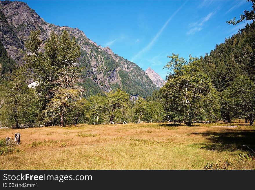 This lovely view is looking Northward up the Enchanted Valley in the Olympic National Park, Washington. This lovely view is looking Northward up the Enchanted Valley in the Olympic National Park, Washington.