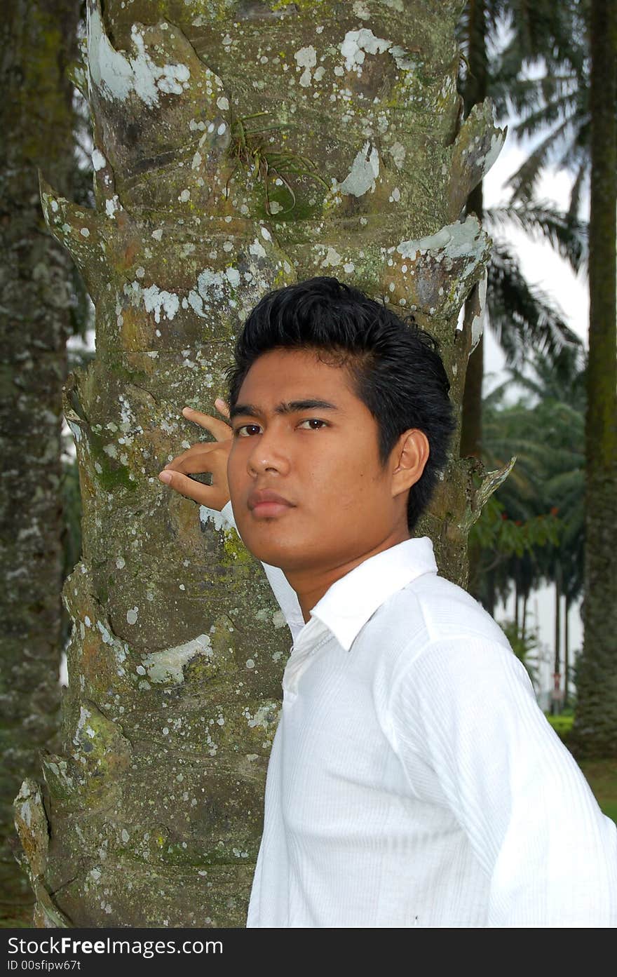 Portrait of an asian young man by the tree. Portrait of an asian young man by the tree.