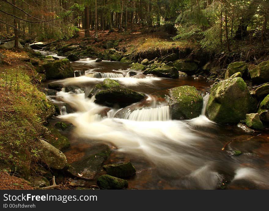 Forest Stream After The Rain. Forest Stream After The Rain