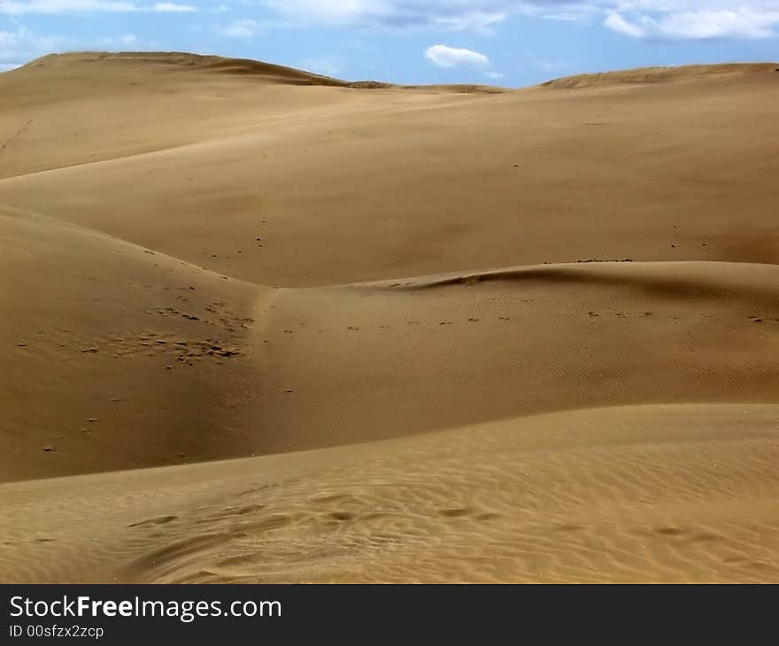 Sand Dunes in Sahara desert