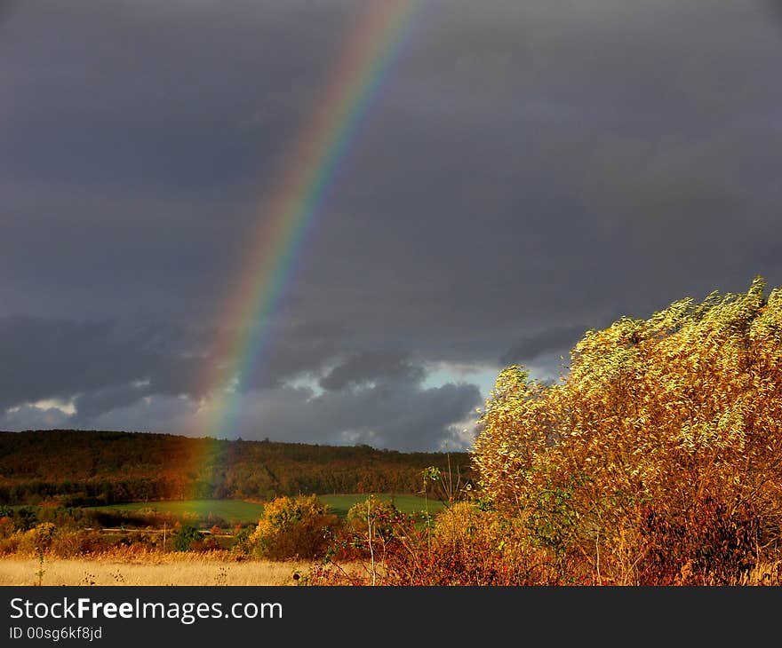 rainbow on the field